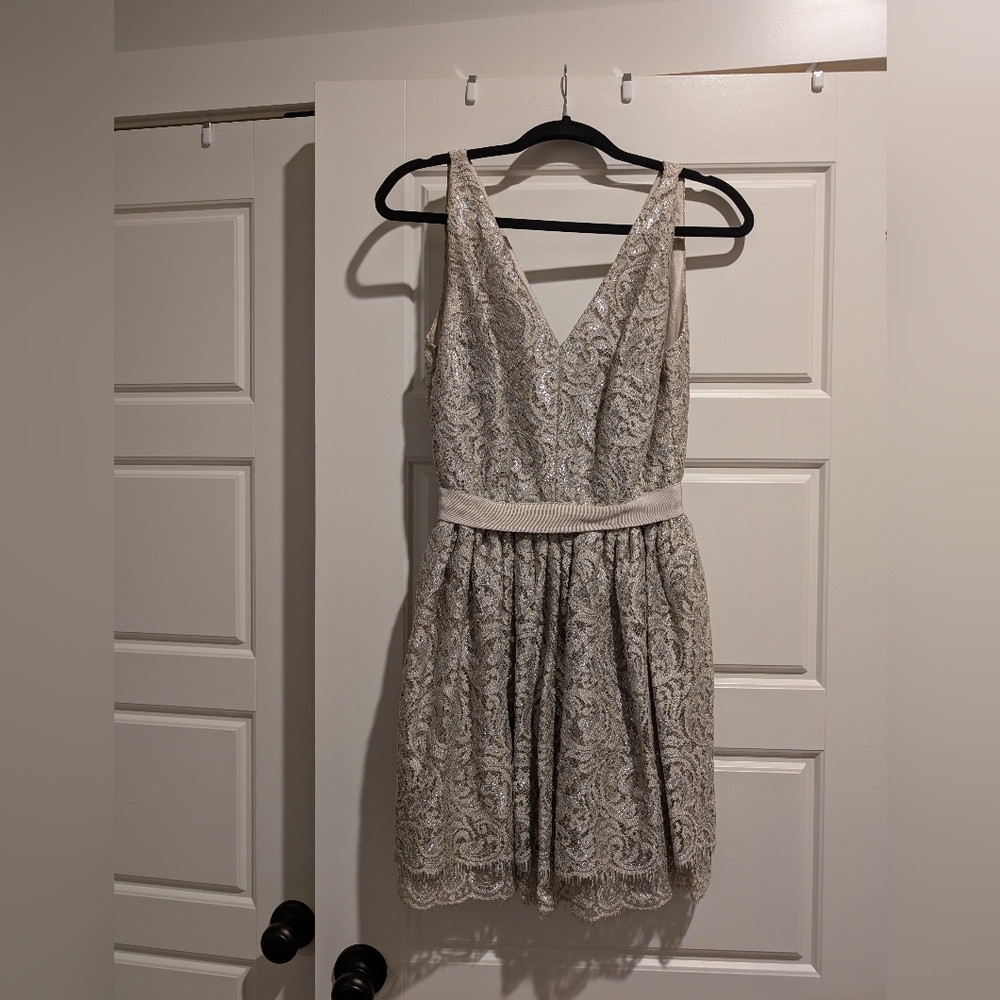 Robert Rodriguez silver lace mini dress